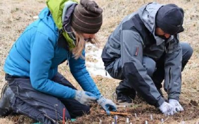 El valor de estudiar la biodiversidad en distintos rincones del mundo al mismo tiempo