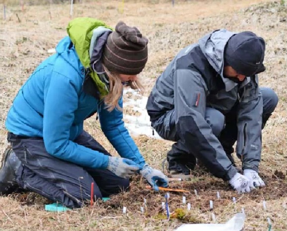 El valor de estudiar la biodiversidad en distintos rincones del mundo al mismo tiempo